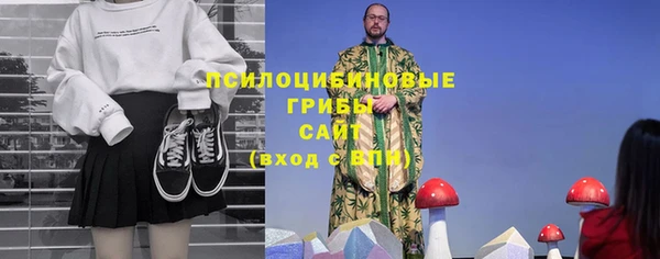 PSILOCYBIN Абаза
