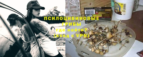 PSILOCYBIN Абаза
