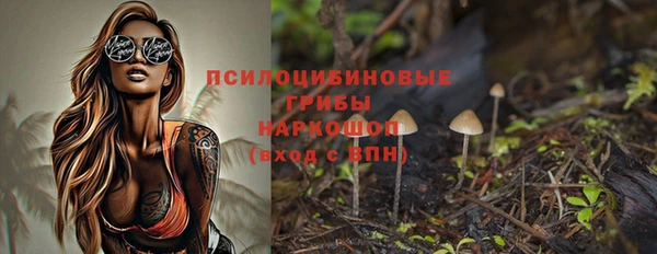 PSILOCYBIN Абаза